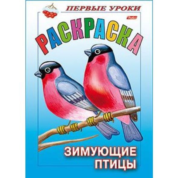 Раскраска 8л А5ф цветной блок на скобе Первые уроки Зимующие птицы , 